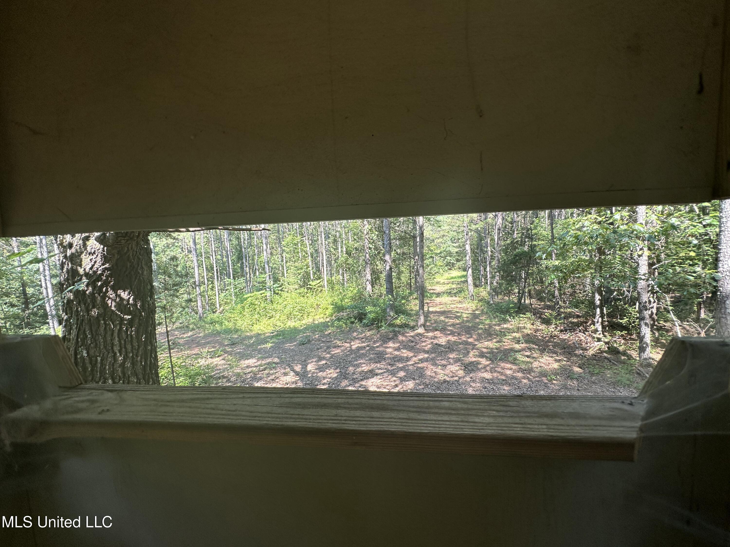 Powell Chapel Road Holly Springs, MS 38635 - Photo 74 of 74 9E76ECA9-0ADF-45D5-AEF7-7CD83A125EC1