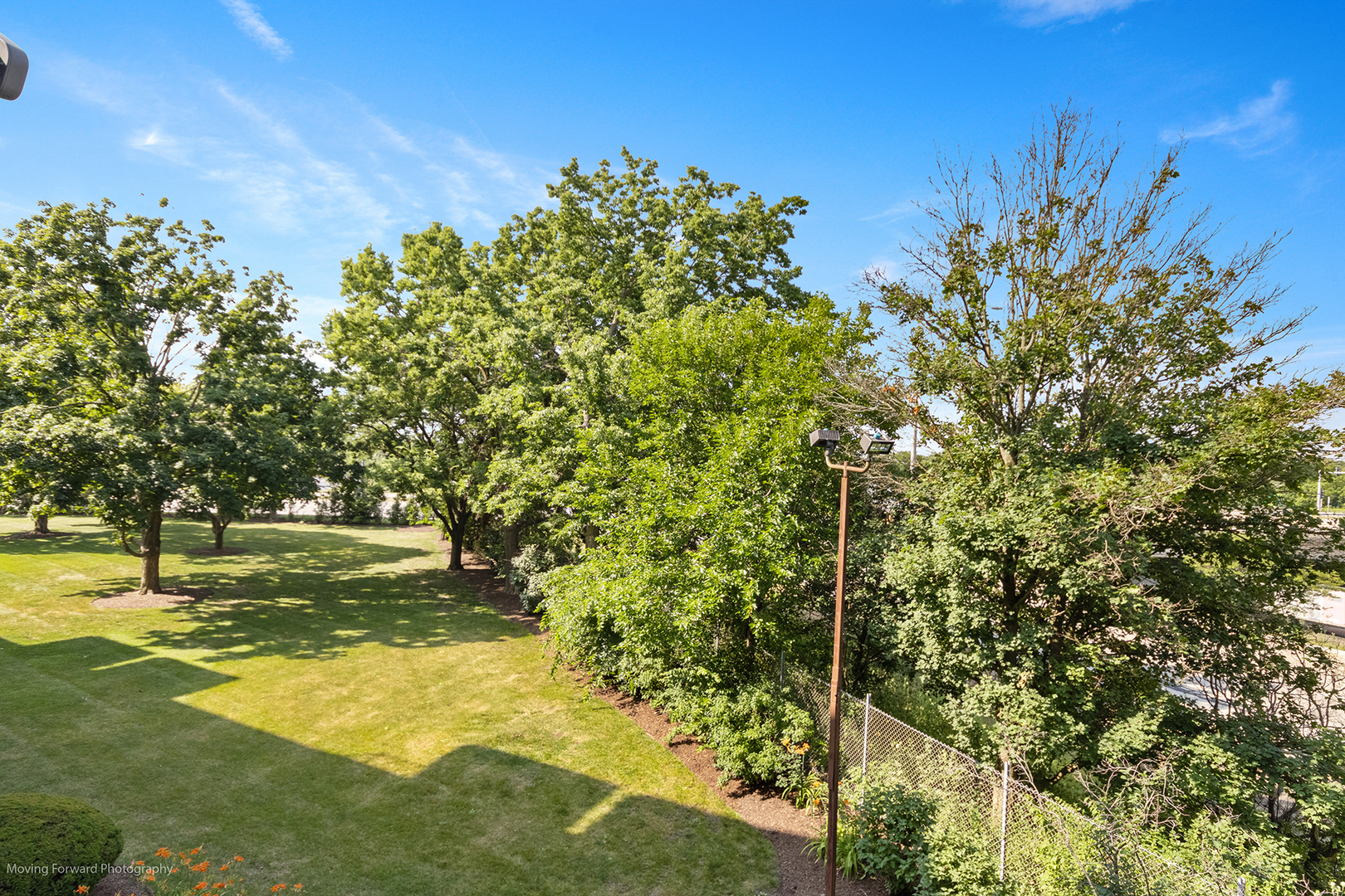 2900 Maple Avenue, Unit 13C Downers Grove, IL 60515 - Photo 25 of 36 a view of yard with tree