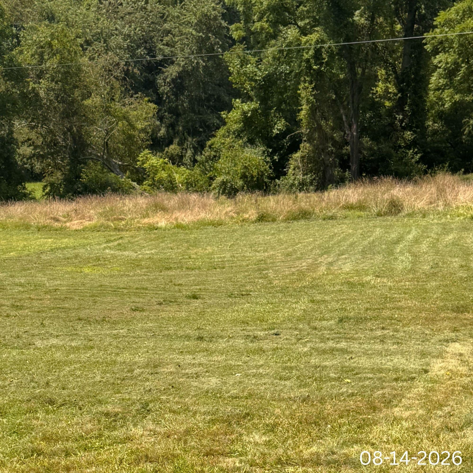 210 Fannin-Roscoe Road Sandy Hook, KY 41171 - Photo 5 of 13 REO - 2026-08-14T101645.426