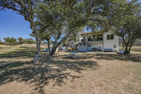 a view of a patio with a large tree