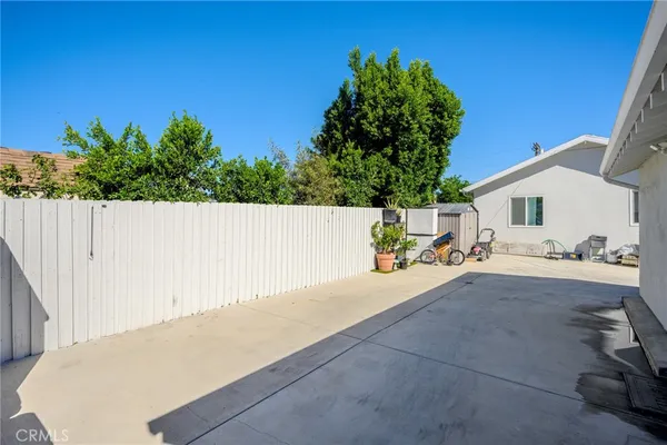 a view of backyard and tree