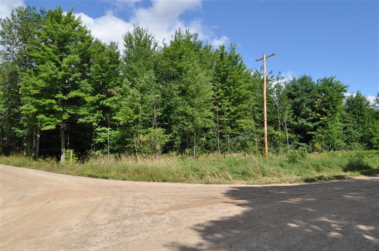Decker Road Orleans, MI 48865 - Photo 1 of 4 Primary Photo