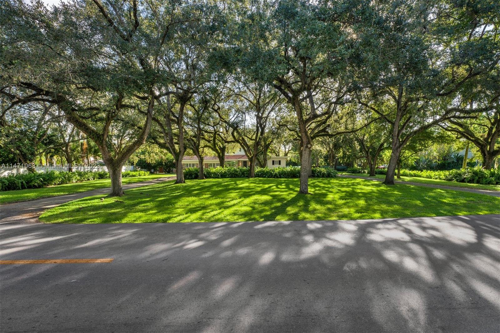 7301 Ponce De Leon Road Miami, FL 33143 - Photo 12 of 12 a view of a park with large trees
