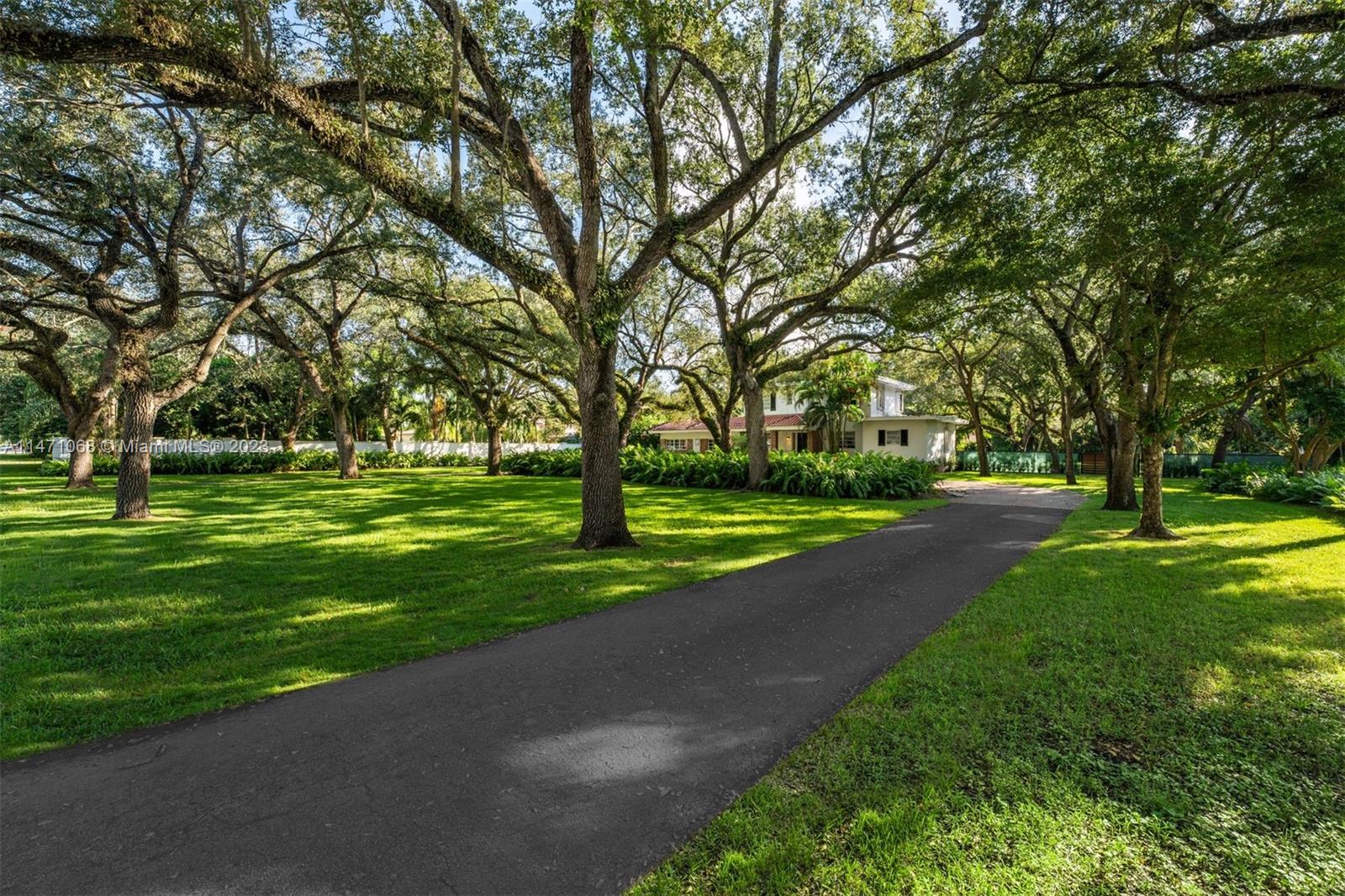7301 Ponce De Leon Road Miami, FL 33143 - Photo 10 of 12 a view of a park with tree s