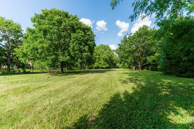 a view of outdoor space with deck and trees
