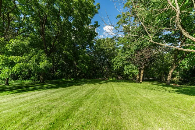 a view of a park with trees in the background