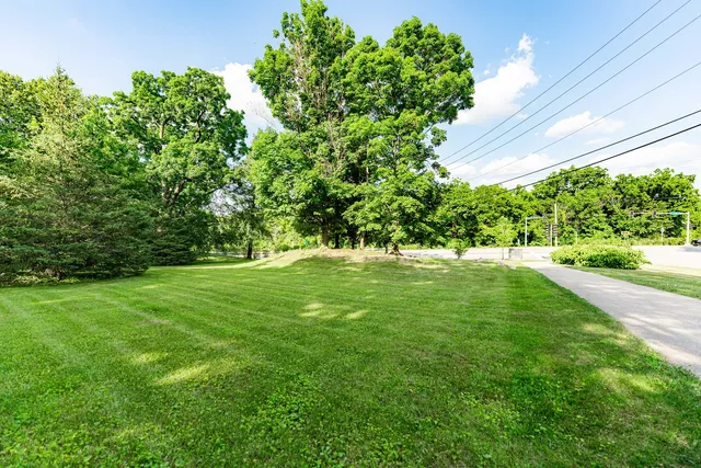 a view of yard with green space