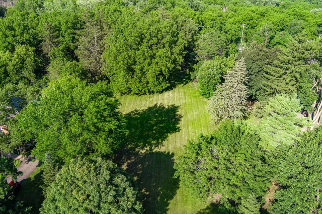 a view of a lush green forest
