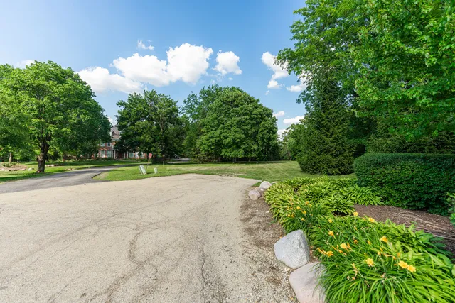 a view of a garden with a fountain