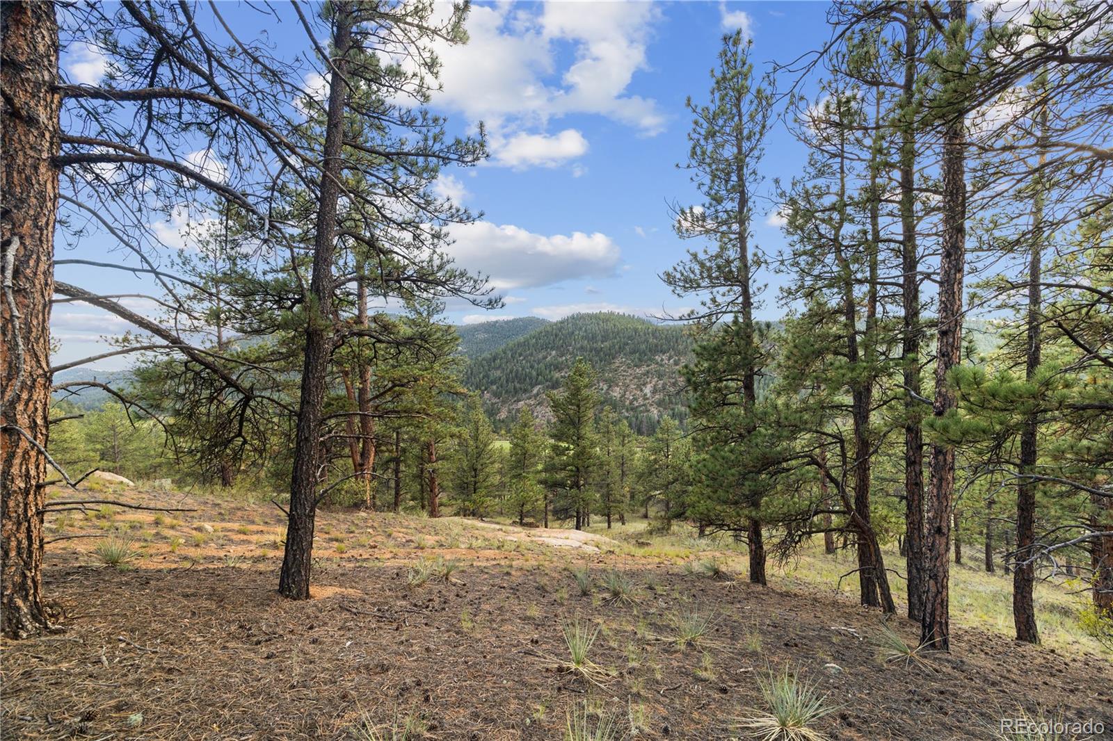 Brynmawr Rd Pine Pine, CO 80470 - Photo 29 of 45