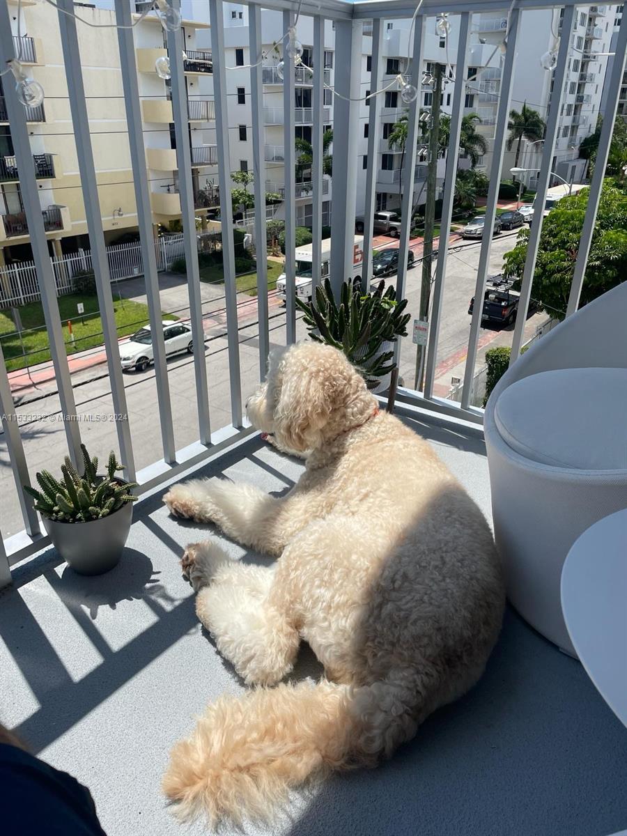 1674 Bay Road, Unit 402 Miami Beach, FL 33139 - Photo 14 of 16 a bed sitting in a room next to a window