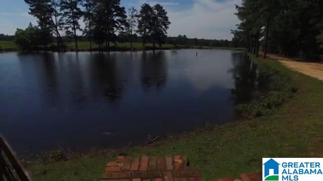 1854 Claud Fleahop Road, Unit 129 4 Eclectic, AL 36024 - Photo 38 of 50