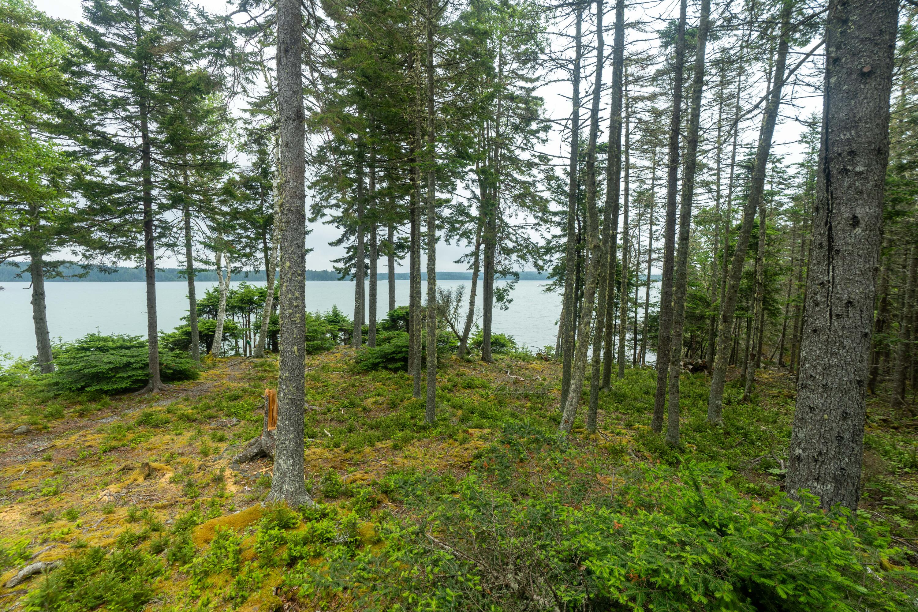 576 Duck Cove Road Roque Bluffs, ME 04654 - Photo 51 of 56 Interior - 576 Duck Cove Rd. Roque Bluff