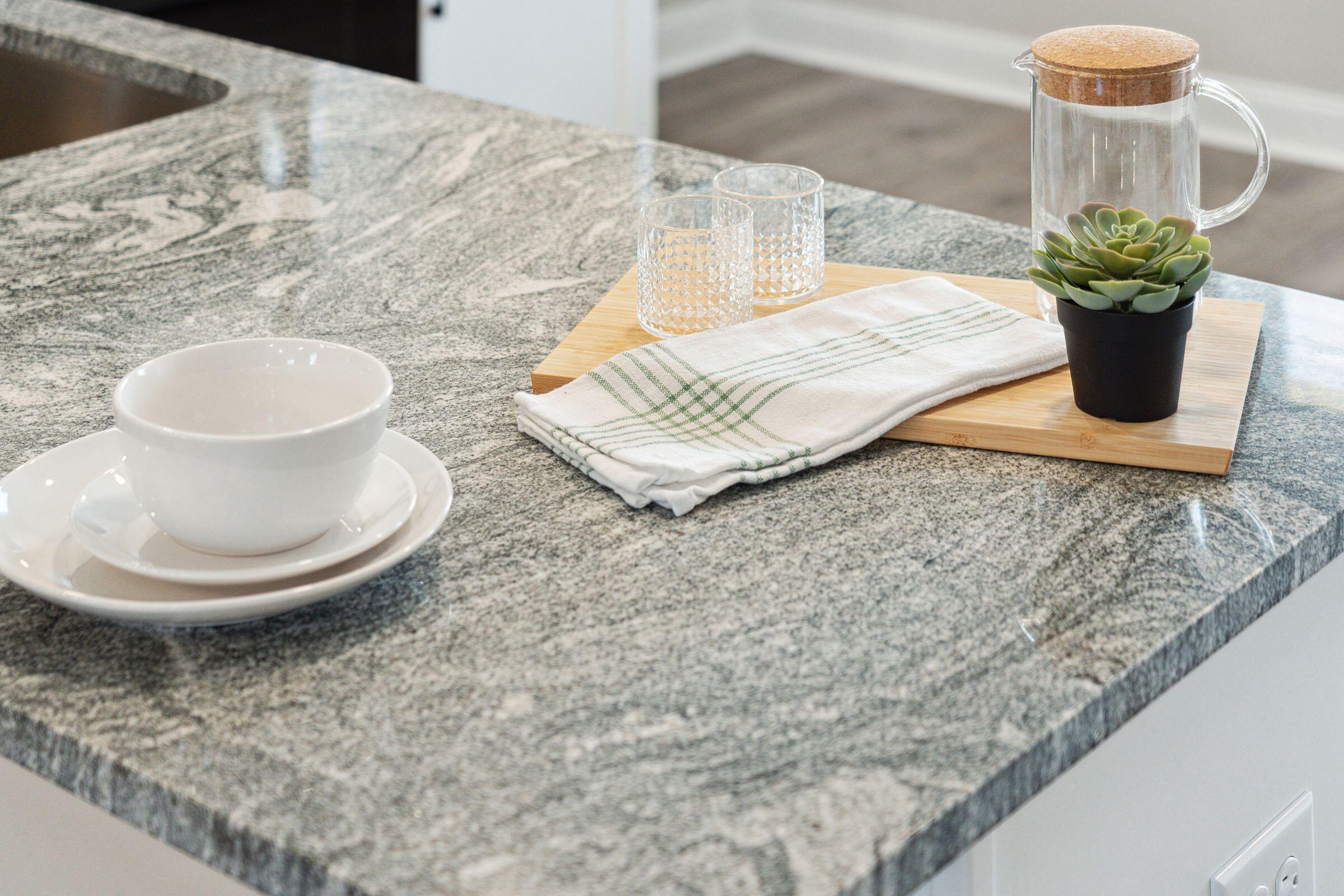 251 Harding Lane Goose Creek, SC 29445 - Photo 15 of 42 316GreenFernDr-KeenEyeMarketing-017