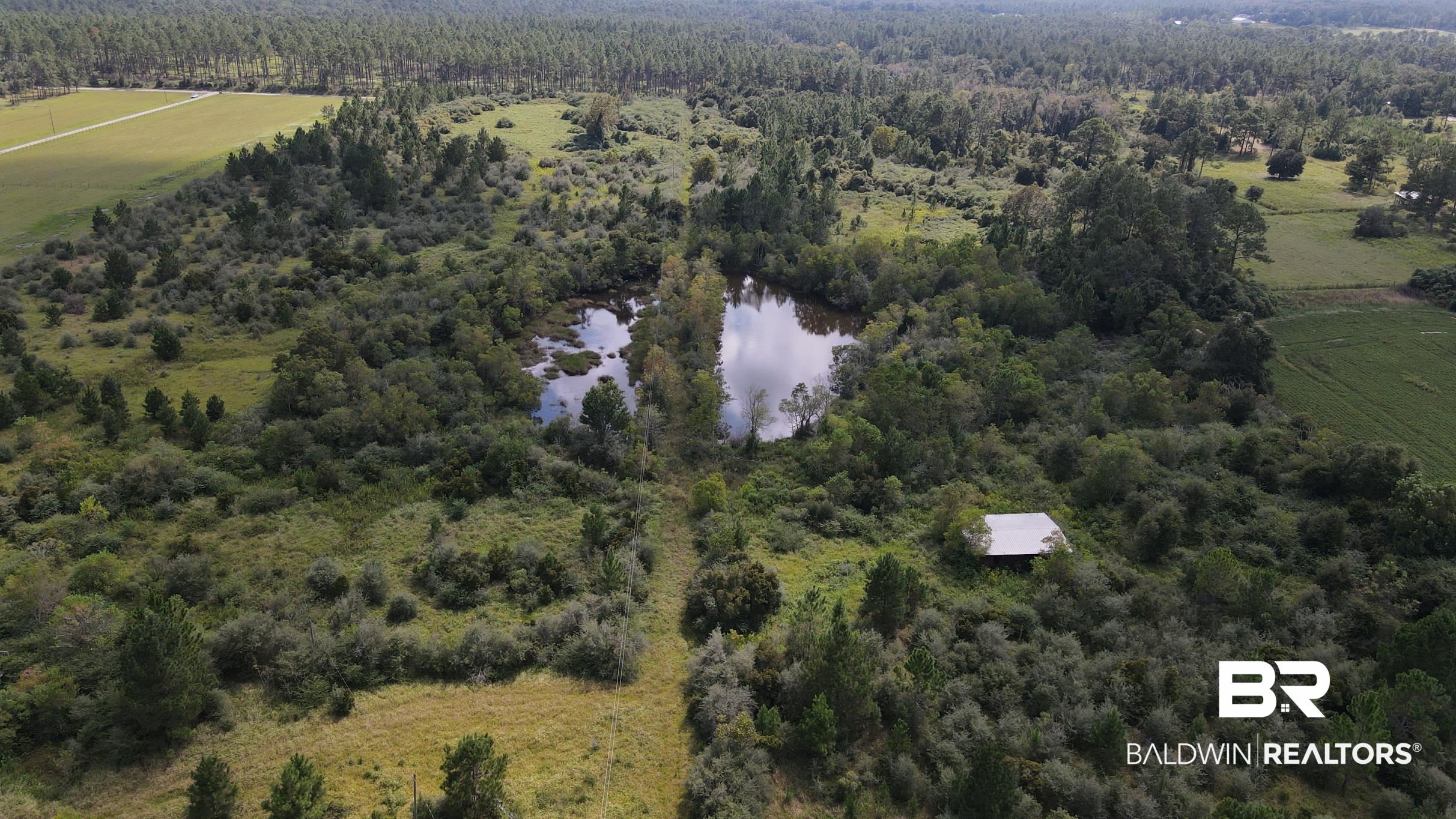 0 Hagendorfer Road Lillian, AL 36549 - Photo 1 of 15