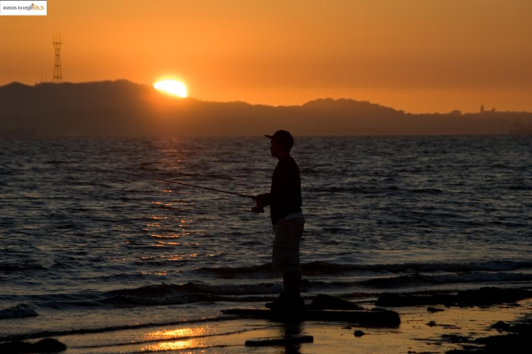 109 Cypress Street, Unit C Alameda, CA 94501 - Photo 24 of 28