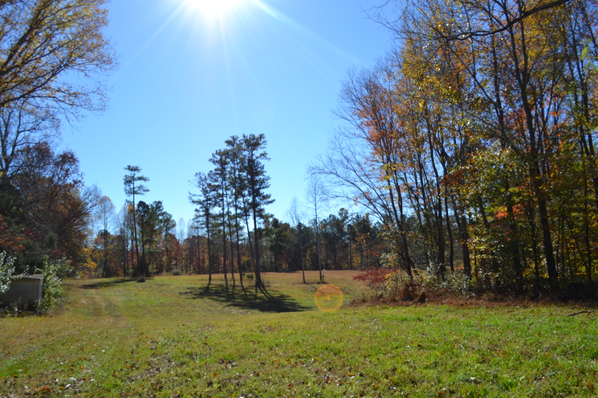 0 Whitson Hollow Road Red Boiling Springs, TN 37150 - Photo 11 of 64