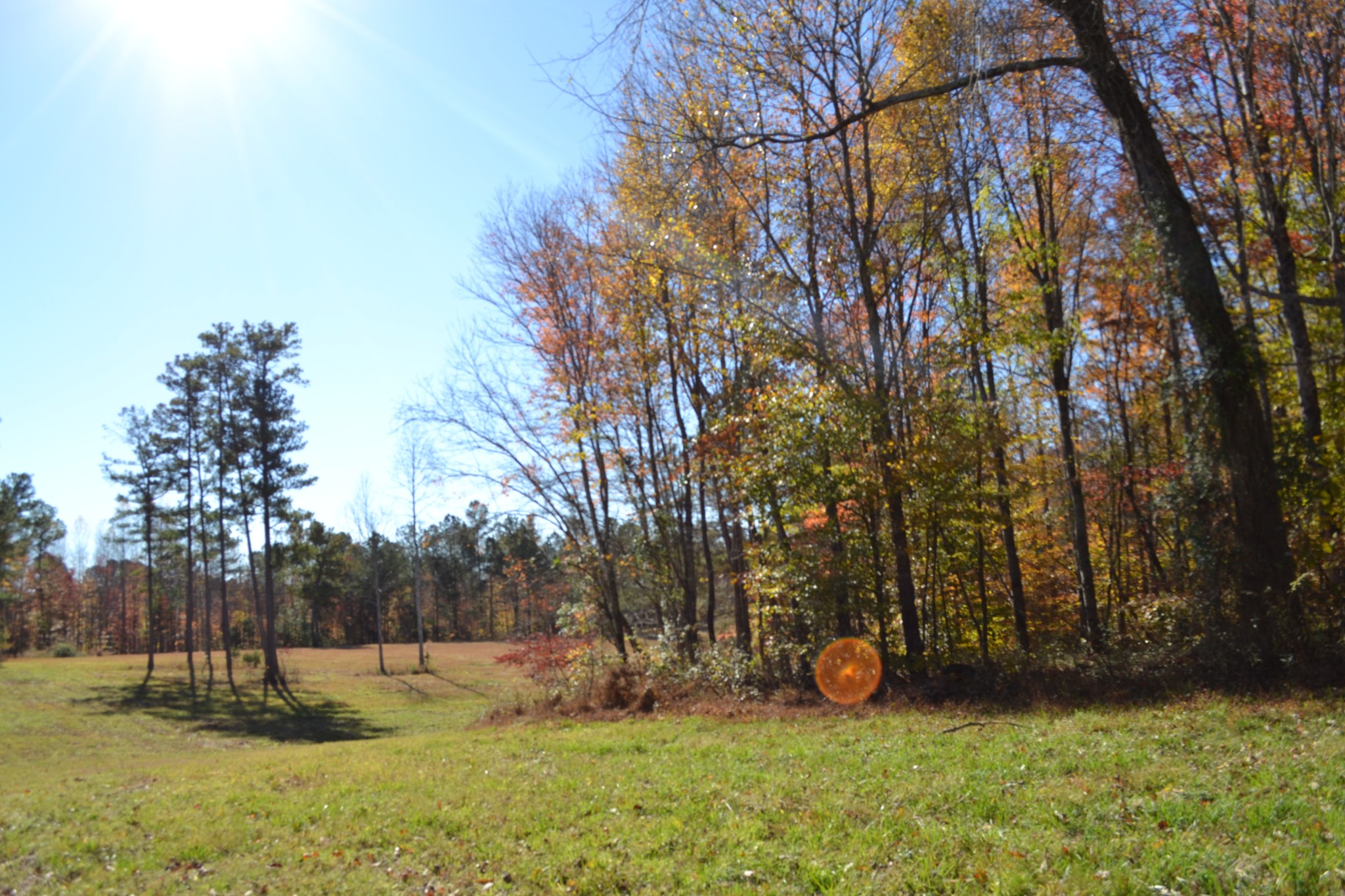 0 Whitson Hollow Road Red Boiling Springs, TN 37150 - Photo 13 of 64 a view of a field with trees