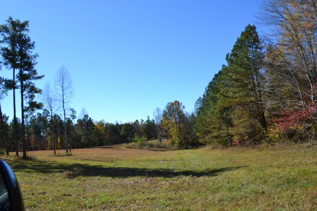 a view of a yard with trees in the background