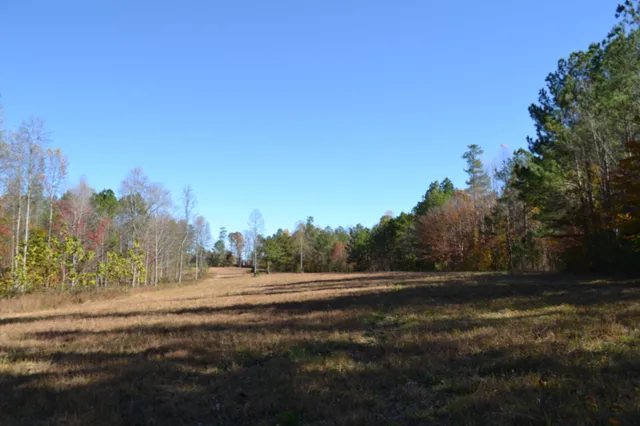 $389,000 | 0 Whitson Hollow Road, Red Boiling Springs, TN 37150
