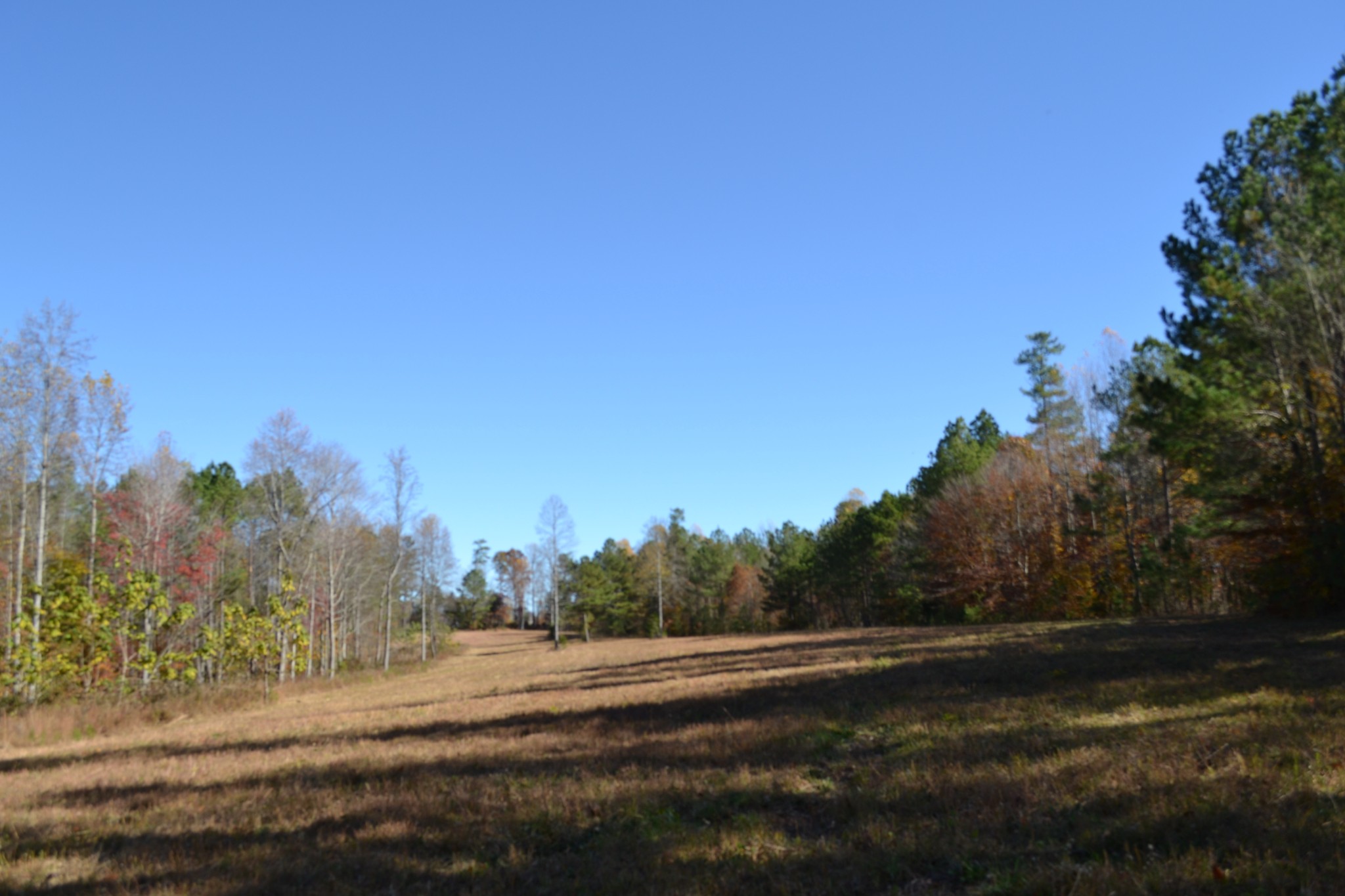 0 Whitson Hollow Road Red Boiling Springs, TN 37150 - Photo 27 of 64 a view of dirt road with a building in the background