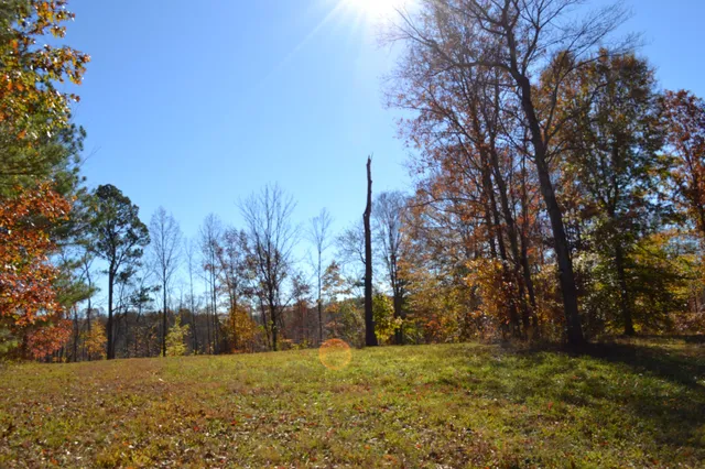 $389,000 | 0 Whitson Hollow Road, Red Boiling Springs, TN 37150