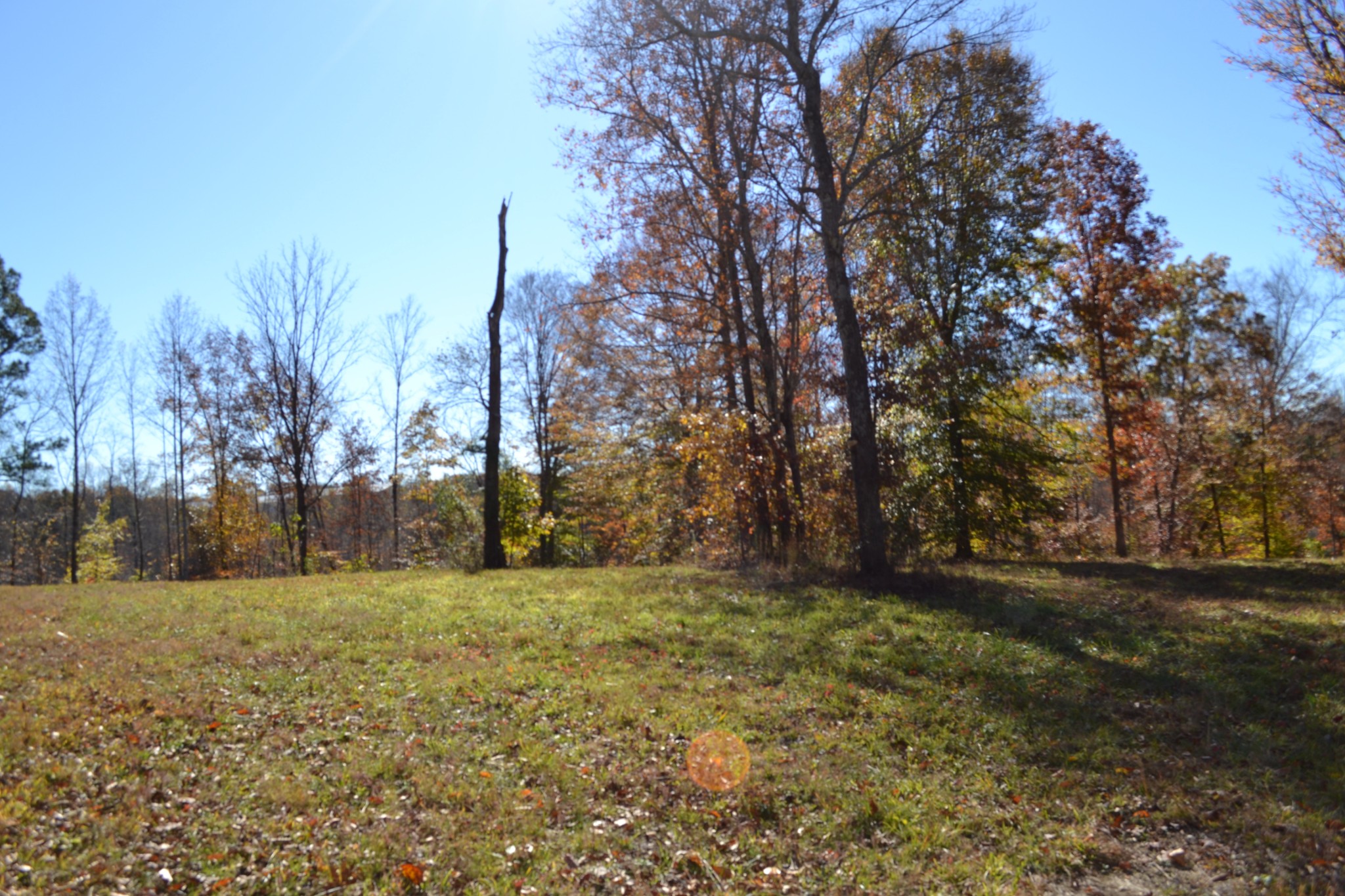 0 Whitson Hollow Road Red Boiling Springs, TN 37150 - Photo 30 of 64