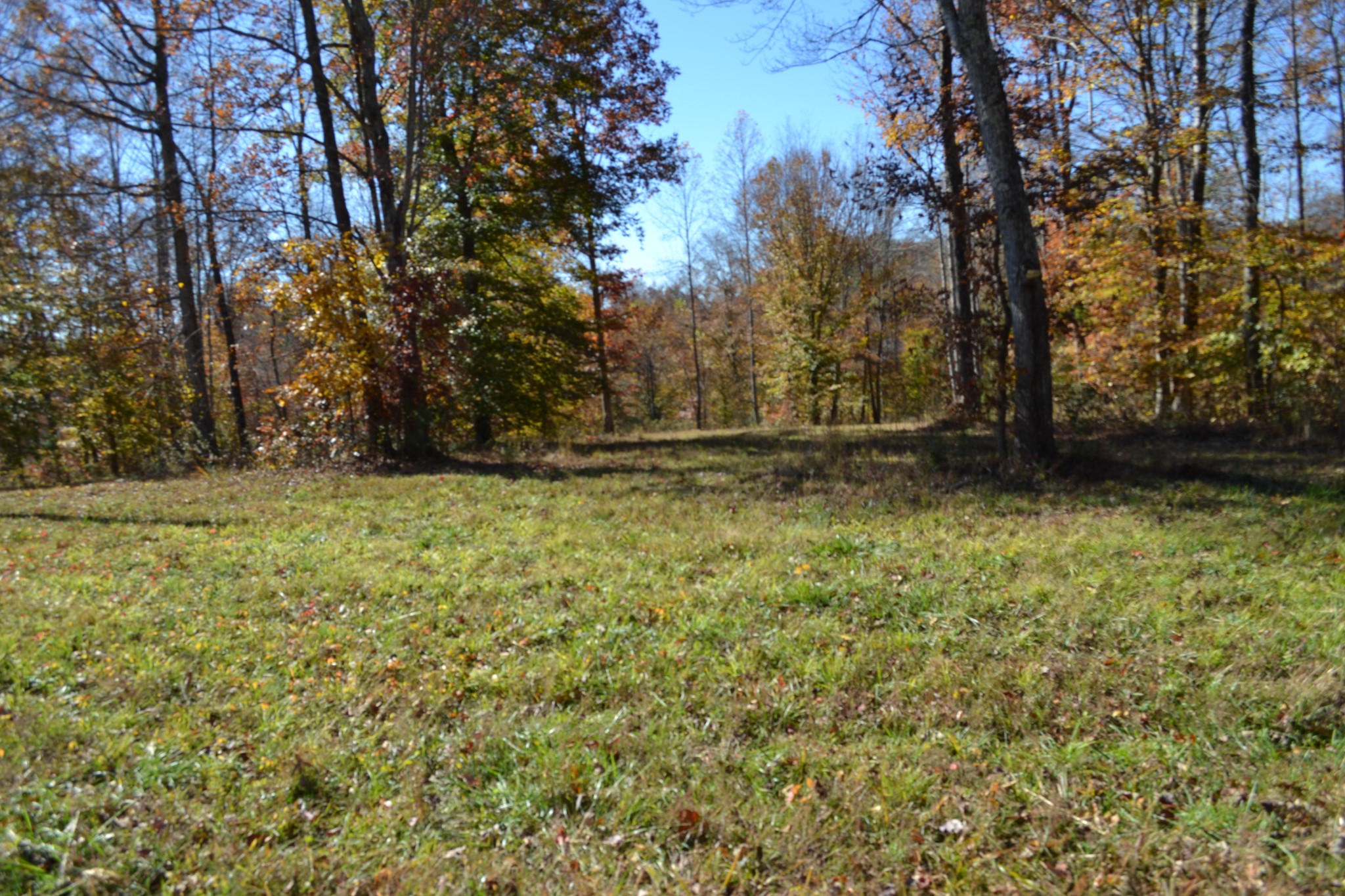 0 Whitson Hollow Road Red Boiling Springs, TN 37150 - Photo 35 of 64 a view of outdoor space
