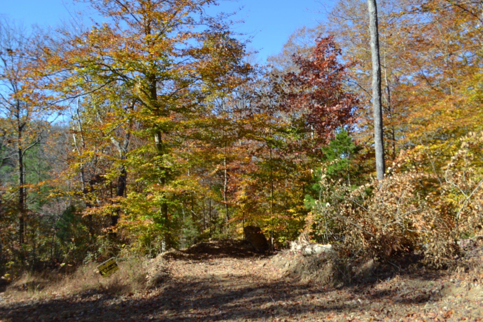 0 Whitson Hollow Road Red Boiling Springs, TN 37150 - Photo 42 of 64