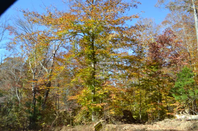 $389,000 | 0 Whitson Hollow Road, Red Boiling Springs, TN 37150