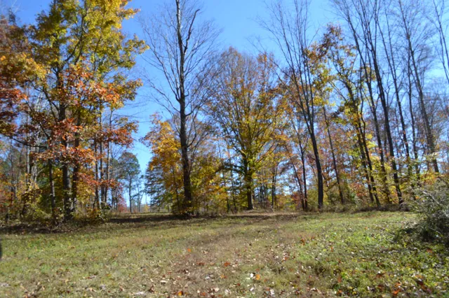 $389,000 | 0 Whitson Hollow Road, Red Boiling Springs, TN 37150