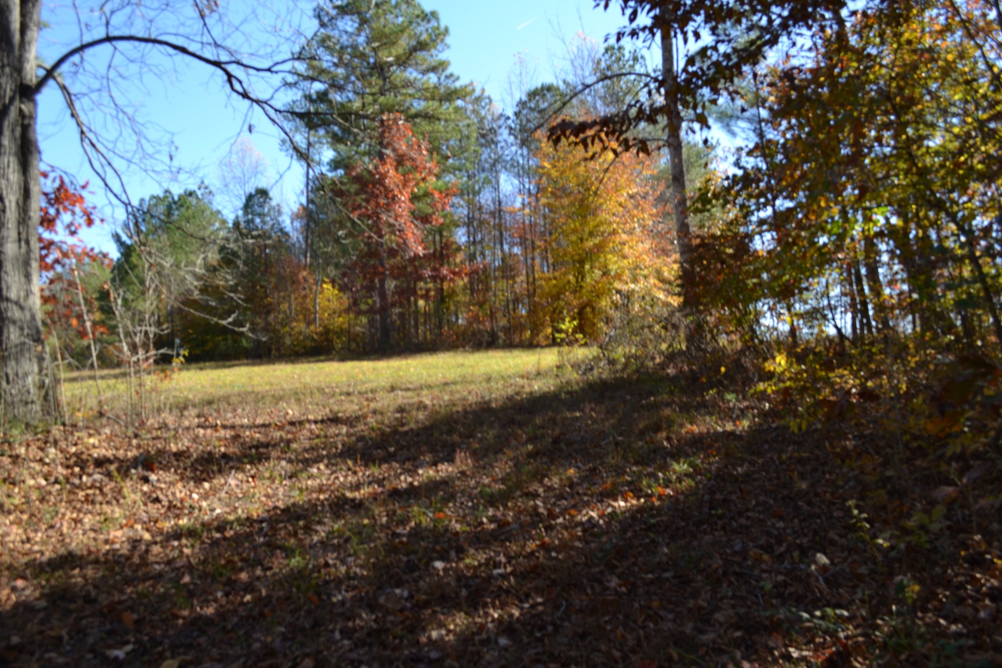 0 Whitson Hollow Road Red Boiling Springs, TN 37150 - Photo 52 of 64