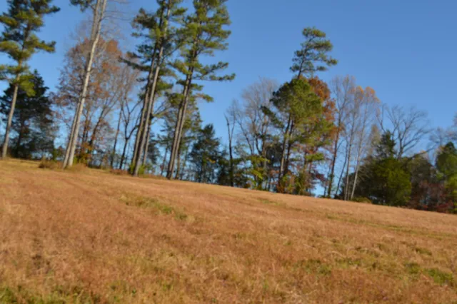 $389,000 | 0 Whitson Hollow Road, Red Boiling Springs, TN 37150