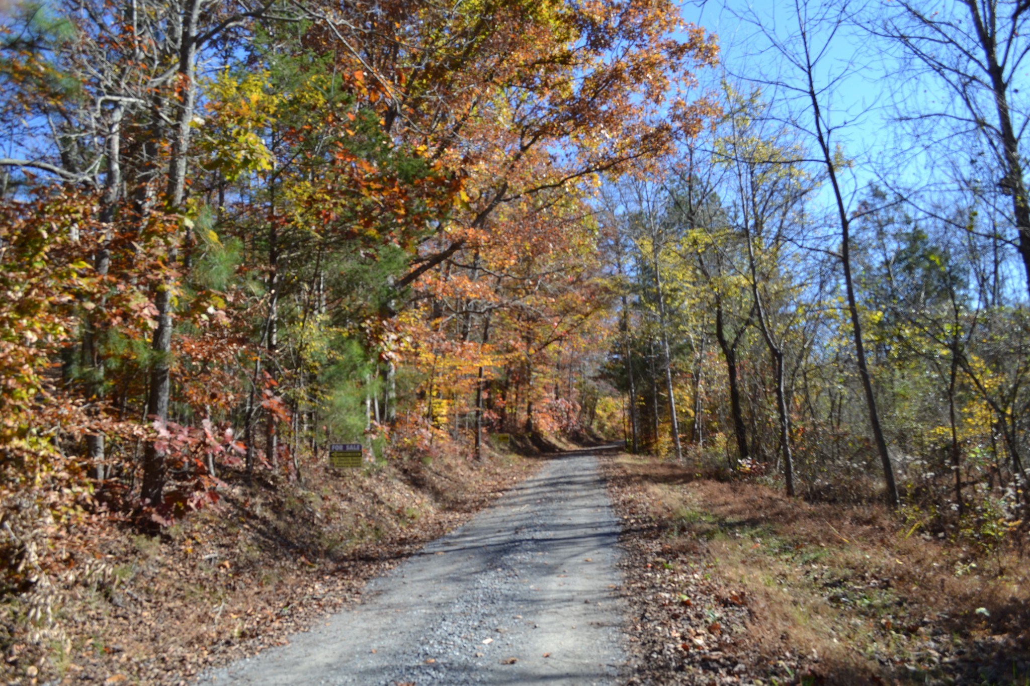 0 Whitson Hollow Road Red Boiling Springs, TN 37150 - Photo 8 of 64