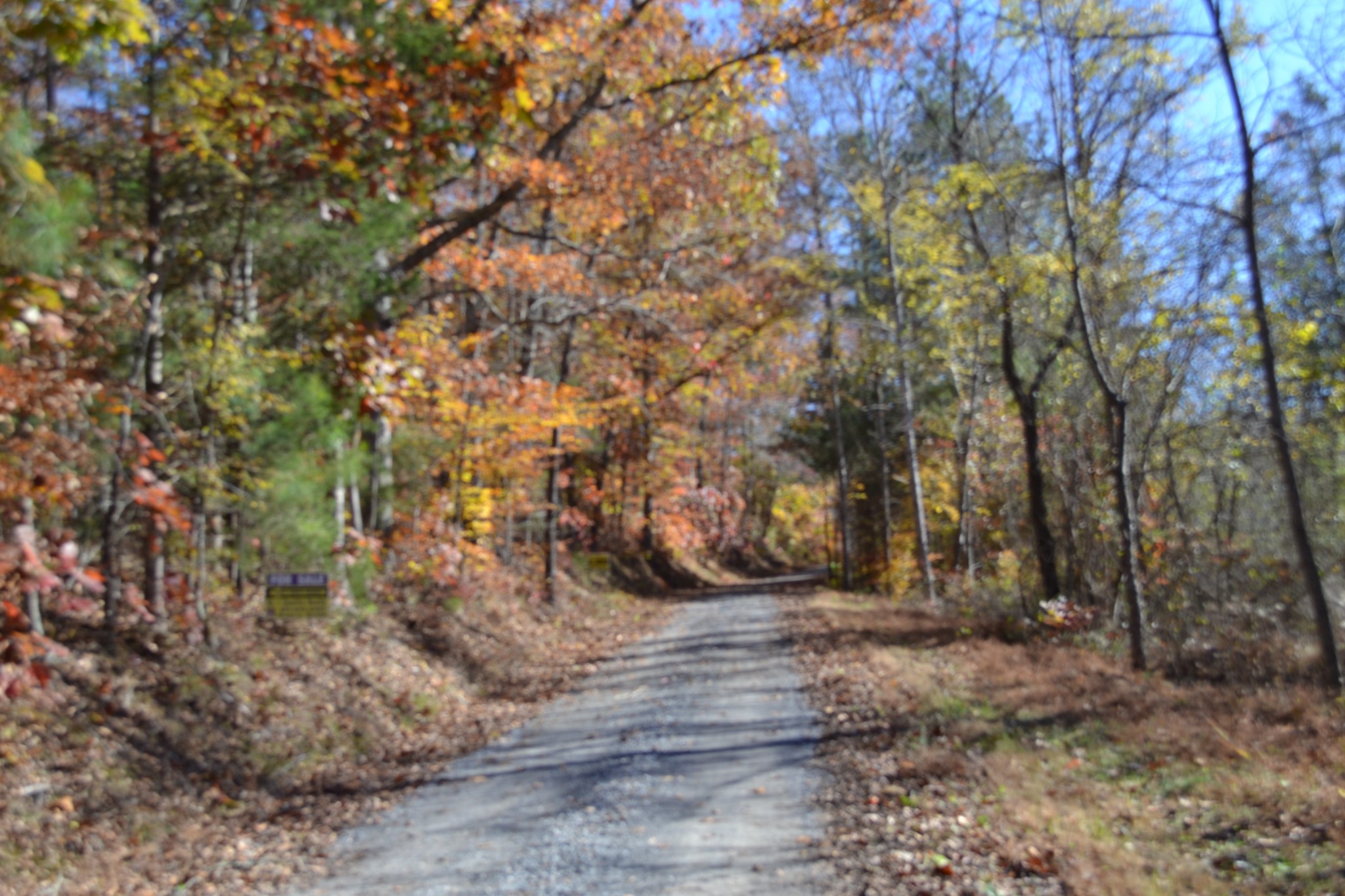 0 Whitson Hollow Road Red Boiling Springs, TN 37150 - Photo 9 of 64