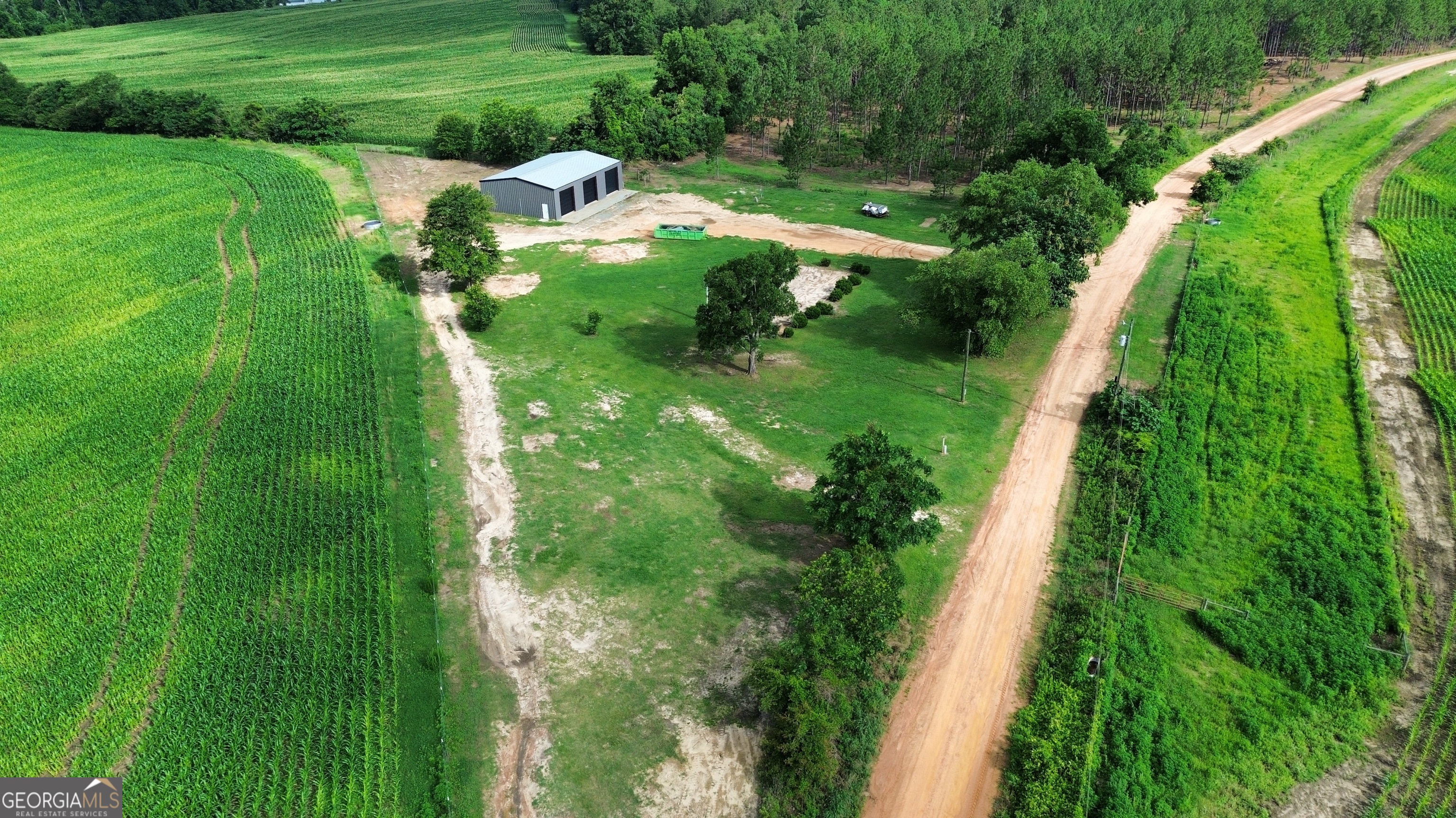 487 Perry Horton Road Adrian, GA 31002 - Photo 2 of 18
