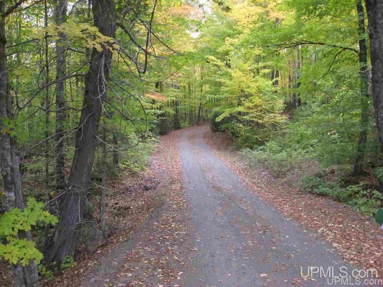 1 Copper Road Michigamme, MI 49861 - Photo 10 of 10 Gallery Image 10