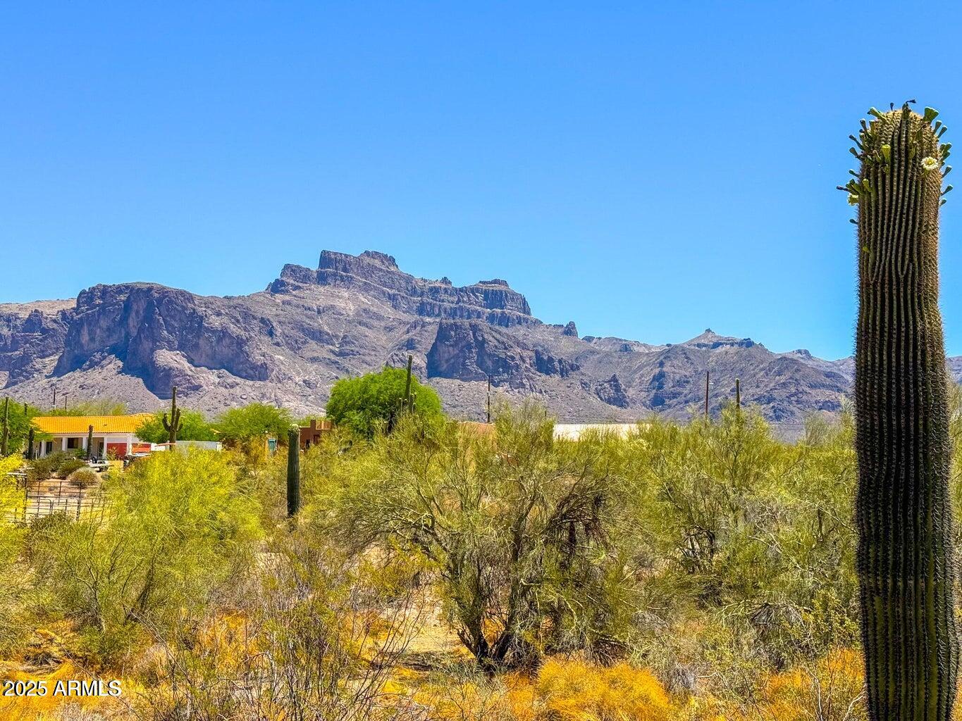0 North Roadrunner Road Apache Junction, AZ 85119 - Photo 5 of 12 a view of a city