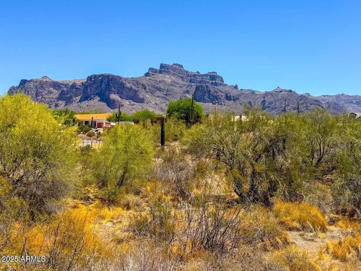 0 North Roadrunner Road Apache Junction, AZ 85119 - Photo 9 of 12 a view of a lush green field