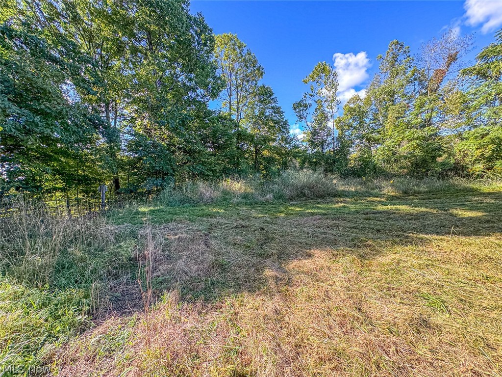 0 Southeast Kleski Road Tippecanoe, OH 44699 - Photo 12 of 33 Gallery Image 12