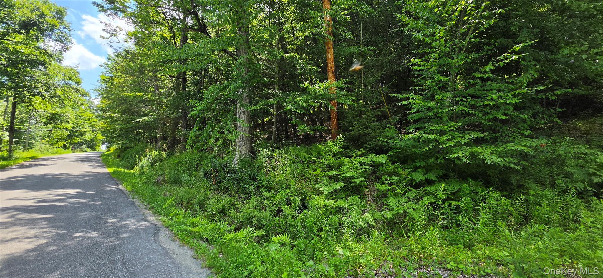 290 Cypert Road Woodbourne, NY 12788 - Photo 18 of 23