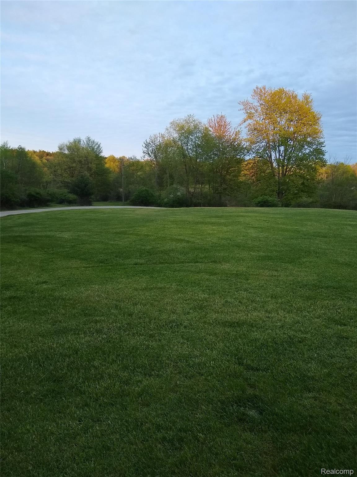 5938 Delano Road Metamora, MI 48455 - Photo 51 of 58 IMG_20190521_203244448.jpg