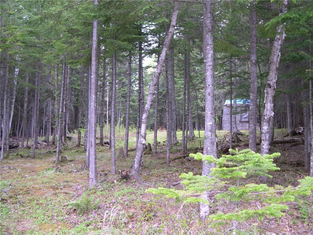 90 Hernborg Road Rangeley, ME 04970 - Photo 9 of 12 land from waterfront