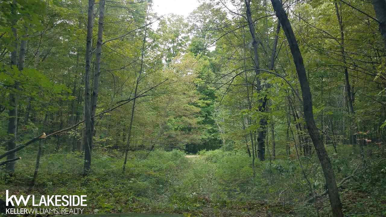Nhn North 27th Road Mesick, MI 49668 - Photo 9 of 11