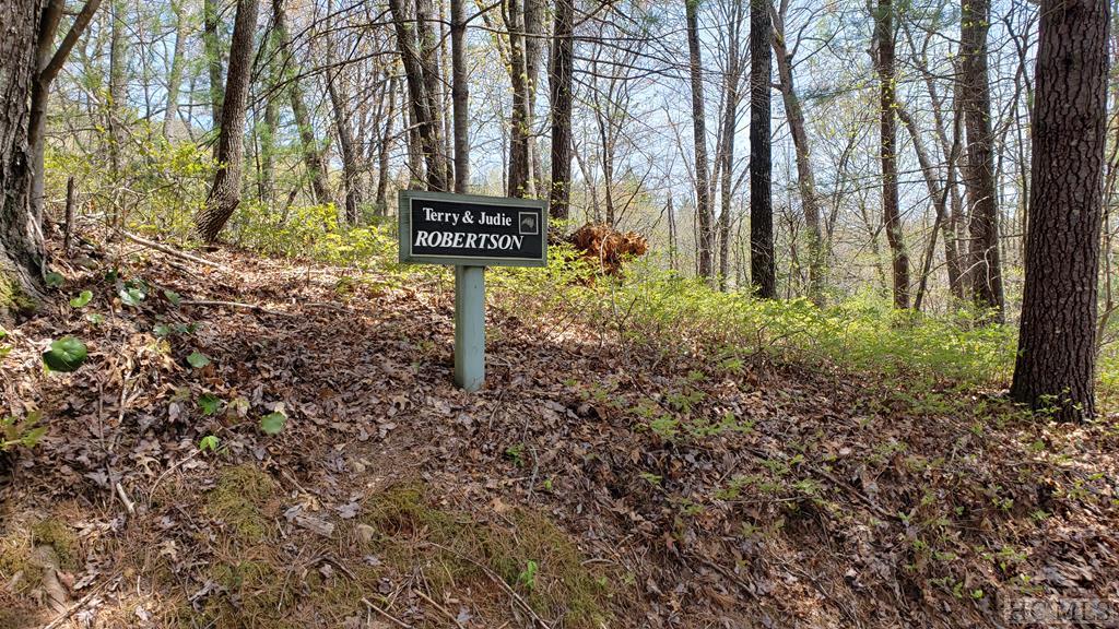22 Running Fox Road Sapphire, NC 28774 - Photo 1 of 2 Gallery Image 1