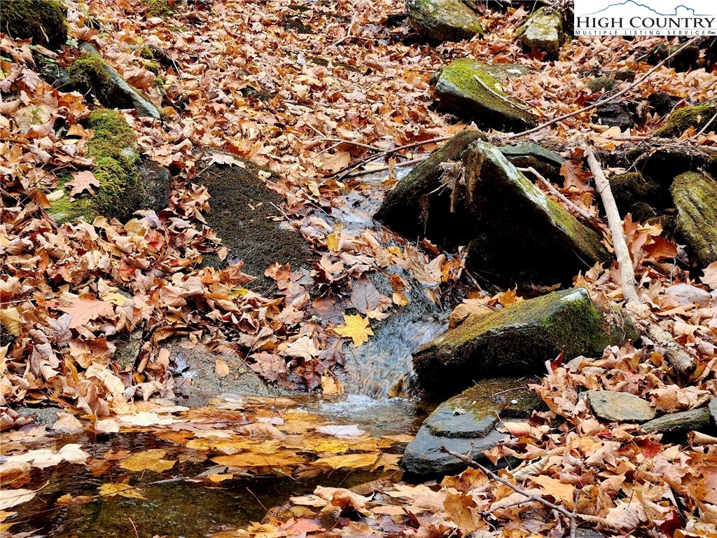 Lot 63 Bob Timberlake Drive Boone, NC 28607 - Photo 11 of 19 a picture of flowers