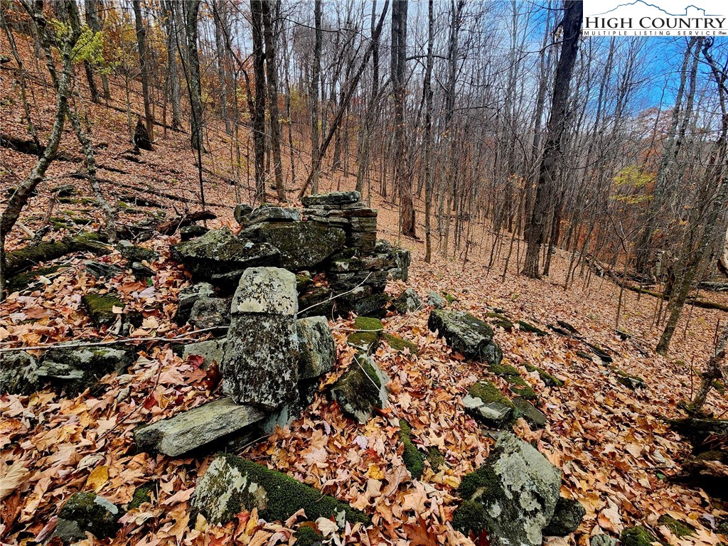 Lot 63 Bob Timberlake Drive Boone, NC 28607 - Photo 14 of 19 a backyard of a house with lots of green space