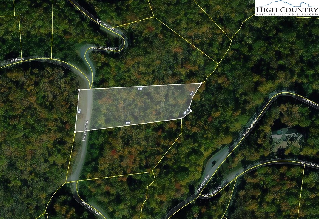 Lot 63 Bob Timberlake Drive Boone, NC 28607 - Photo 19 of 19 a view of a yard and potted plants