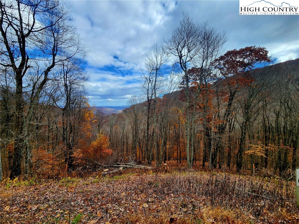 Lot 63 Bob Timberlake Drive Boone, NC 28607 - Photo 3 of 19 a view of a backyard of the house