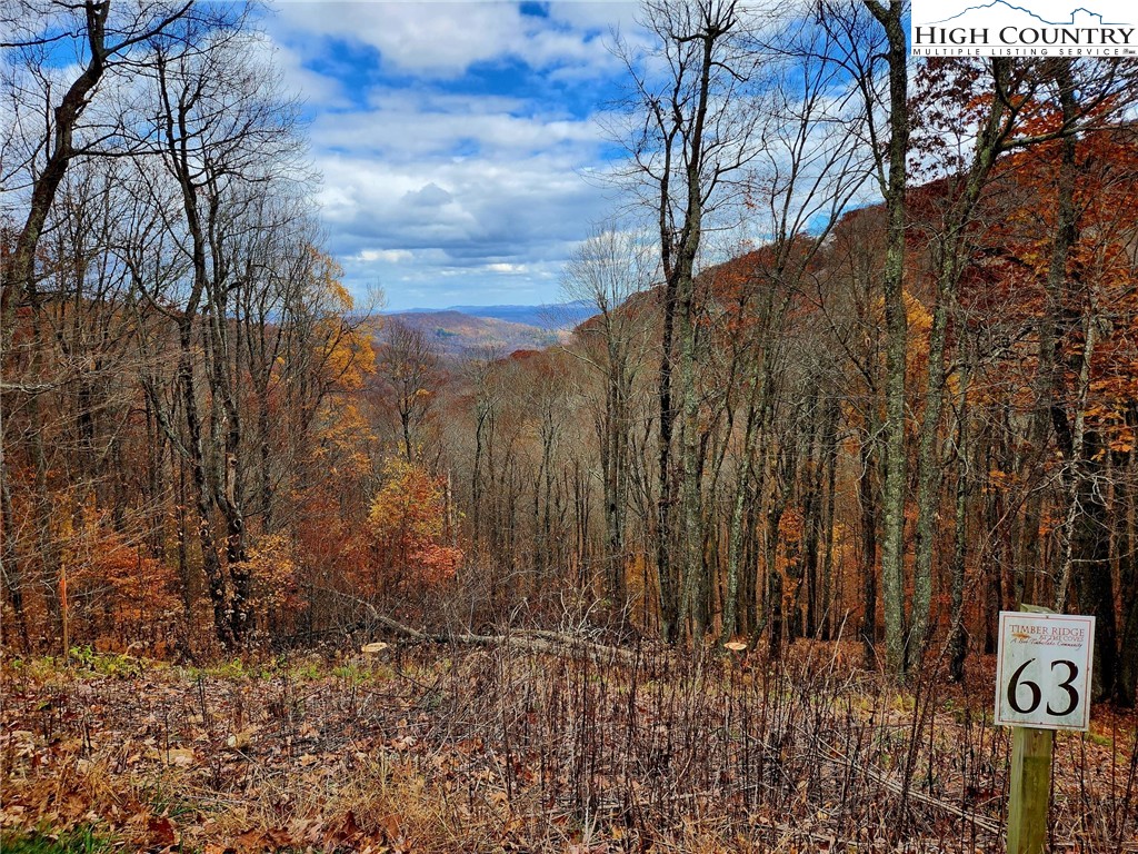 Lot 63 Bob Timberlake Drive Boone, NC 28607 - Photo 4 of 19 a view of a wooden fence